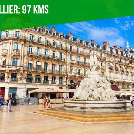 شقة L'Olivier - 2 Terrasses - Clim Ac - Wifi - Proche Theatres أفينيون المظهر الخارجي الصورة